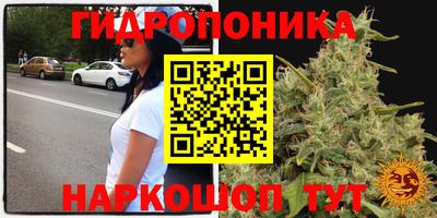 ALPHA-PVP Кунгур